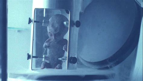 Alien fetus - X-Files Wiki - David Duchovny, Gillian Anderson