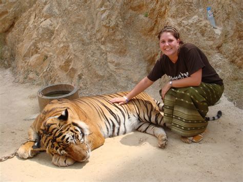 Chrystal's Travels!: Kanchanaburi - Tiger Temple