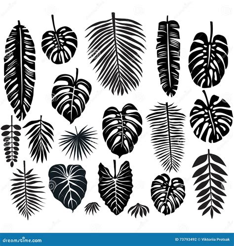 Set of Tropical Leaves stock vector. Illustration of silhouette - 73793492