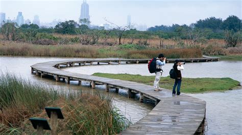 Hong Kong Wetland Park Pictures: View Photos & Images of Hong Kong Wetland Park