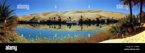 Libya, Ubari, Sahara Desert, Oasis with palm trees and lake. Um El Ma ...