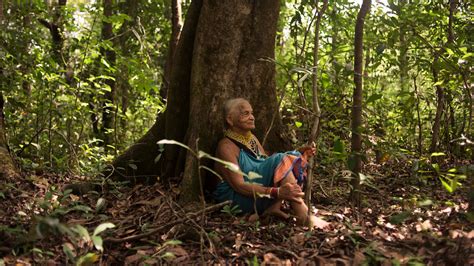 ‘Magic in Her Hands.’ The Woman Bringing India’s Forests Back to Life ...