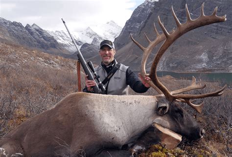 Caribou Hunting in Ontario Full Guide With Best Outfitters in 2024