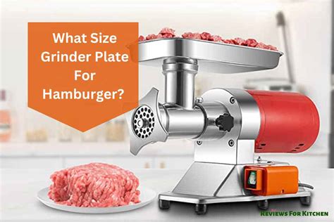 The Definitive Guide To Choosing The Right Meat Grinder Plate Size ...