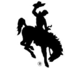 Wyoming State Bucking Horse and Rider: (BH&R) | Wyoming, Wyoming facts ...