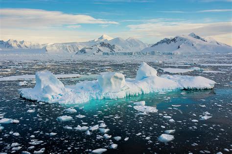 Antarctica Near Adelaide Island Photograph by Inger Hogstrom - Fine Art ...