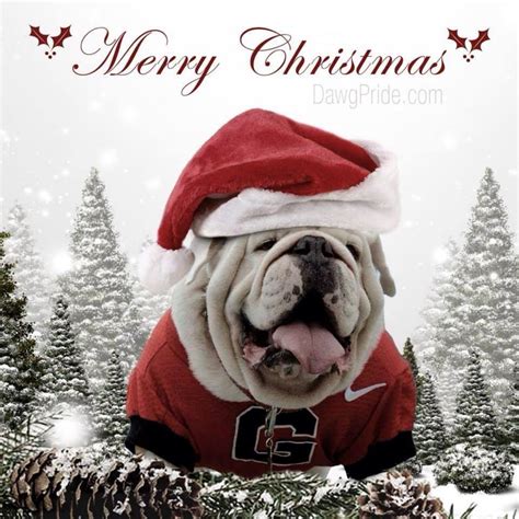 Only 13 Days Until Christmas Georgia... - Georgia Bulldawg Nation ...