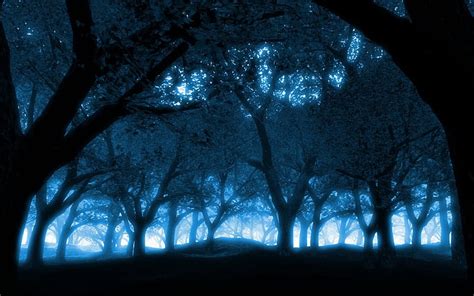 Blue Night, forest, nigh, trees, fog, blue, HD wallpaper | Peakpx