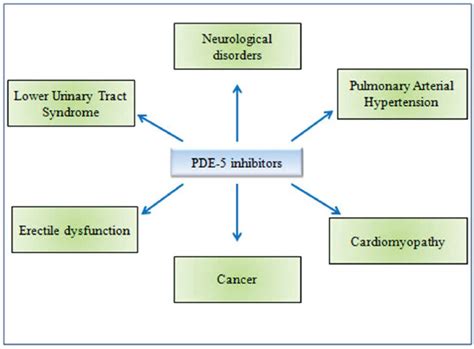 A Review on the Pharmacological Importance of PDE5 and Its Inhibition to Manage Biomedical ...