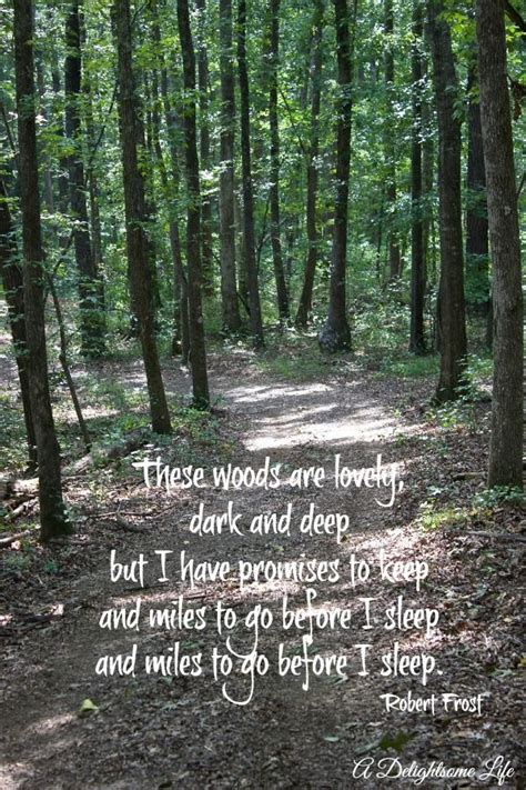 Miles and miles to go. | Into the woods quotes, George washington carver quotes, Walk in the woods