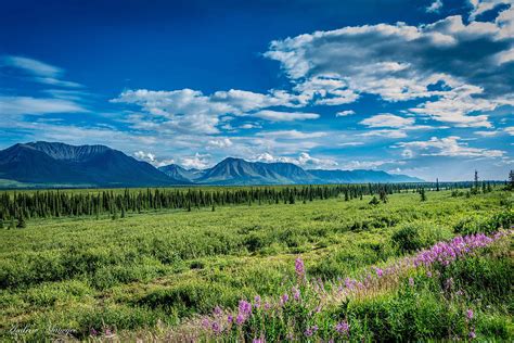 Alaskan Summer Landscape Photograph by Andrew Matwijec - Fine Art America