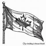 Canada Flag Coloring Pages  Free & Printable sketch template