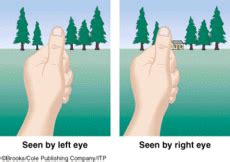 Binocular Cues For Depth Perception