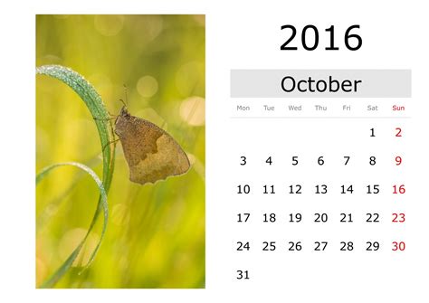 Calendar - October 2016 (English) Free Stock Photo - Public Domain Pictures