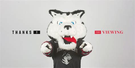 Northeastern Huskies | Athletics Mascot Rebrand by Jeremy Nelson on ...