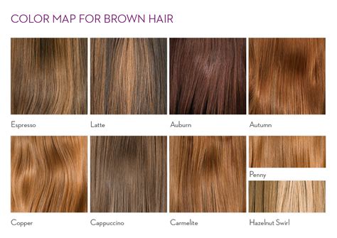 Chestnut Brown Hair Color Chart