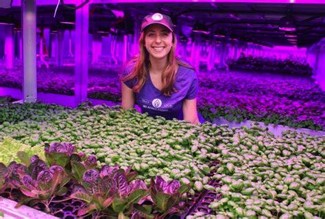 Innovative companies changing the face of vertical farming - Vegetable Growers News