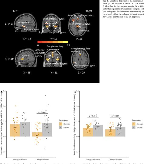 Figure 1 from Intranasal oxytocin modulates the salience network in ...