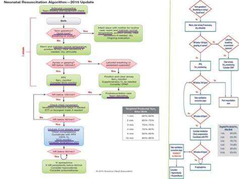 Nrp Algorithm Printable - Printable Templates