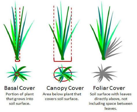 Why some of our protocols are changing – Soilmentor