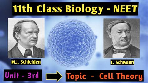 Schleiden & Schwann - Cell Theory || Statements Of Cell Theory || 11th Class Biology || NEET ...