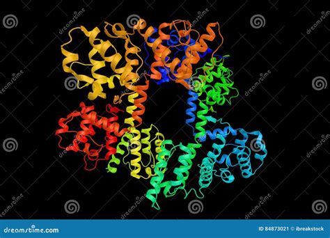 Dystrophin, a Protein Located between the Sarcolemma and the Outermost ...