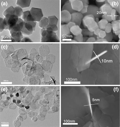 The Fe3O4 nanoparticles and nanoplates prepared under different ...