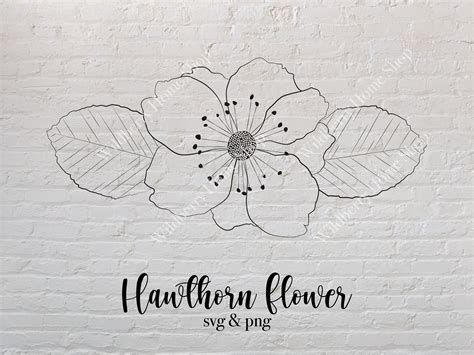 Buy Hawthorn Flower Svg May Birth Flower Svg Floral Svg Spring Online ...