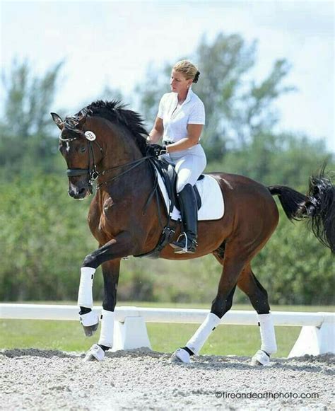 Equestrian Dressage Riding | Equestrian dressage, Horses, Horse life