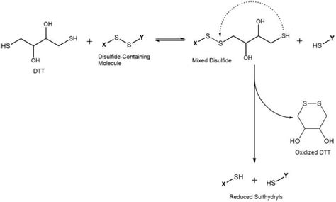 DL-Dithiothreitol - DTT as key element in diagnostics