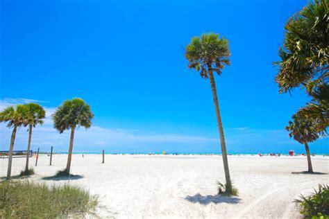 1,400+ Siesta Key Beach Florida Stock Photos, Pictures & Royalty-Free ...