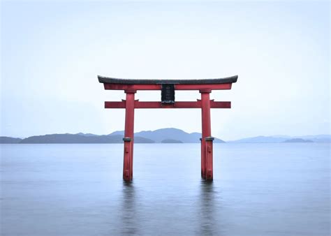 15 Best Shinto Shrines You Have to Visit | Shinto shrine, Japanese ...