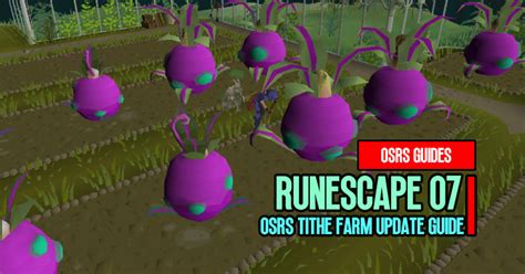 OSRS Tithe Farm Update Guide: Maximizing Rewards and Farming XP