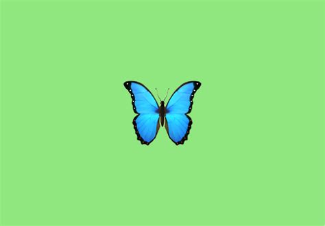 Butterflies Meaning In Hindi - MeaningKosh