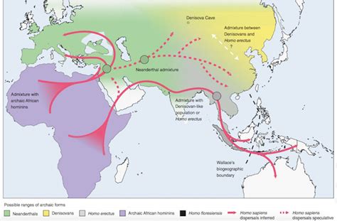 Human Evolution Migration Map