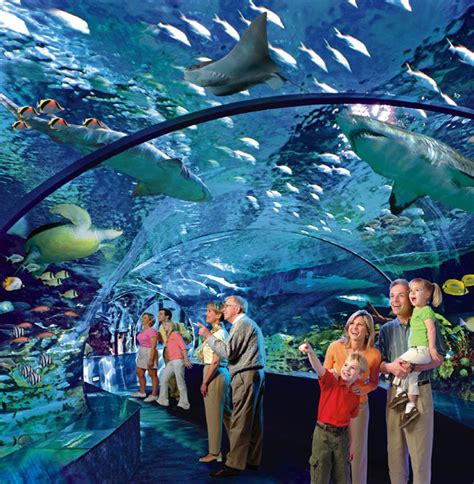 Oh My Gay — Toronto's New Aquarium - To be complete Spring...