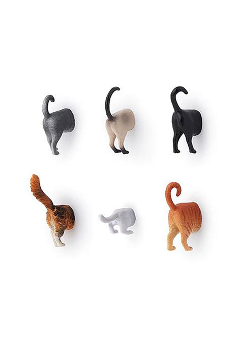 The Cat Butt Magnets