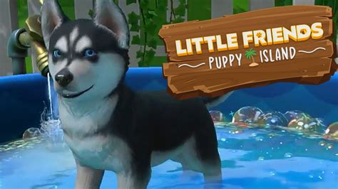 Little Friends Puppy Island Part 1 An all new puppy adventure! No Commentary Gameplay ...