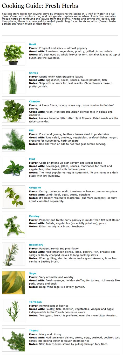 Herb Cooking Chart | Cooking herbs, Herbs, Plant based lifestyle