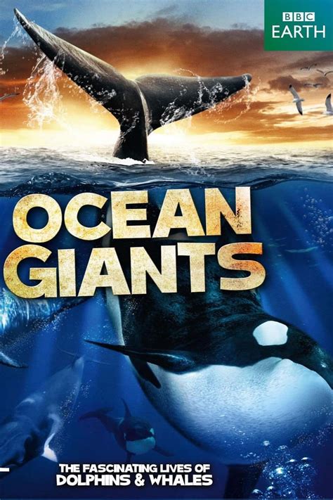 The 30 Best Underwater & Deep Sea Documentaries, Ranked By Fans