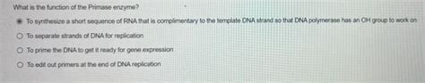 Solved What is the function of the Primase enzyme? To | Chegg.com