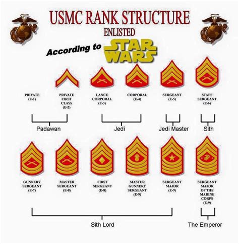 Rank structure Usmc Ranks, Military Ranks, Military Life, Military Uniforms, Military Service ...