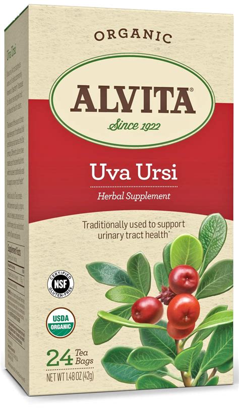 Alvita Organic Uva Ursi Herbal Tea - Made with Premium Quality Organic ...