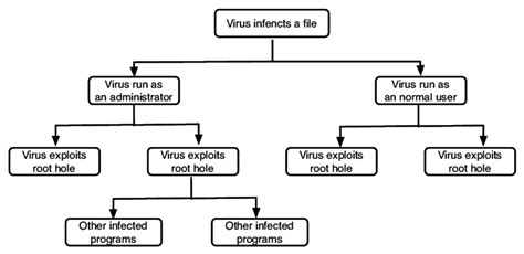 Diagram Of Virus In Computer