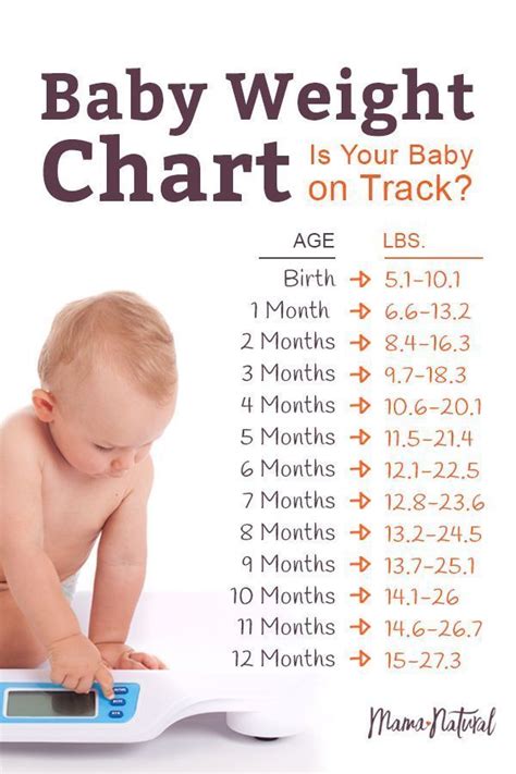 Baby Weight Chart: Is Your Baby On Track? | Mama Natural | Weight charts, Baby weight chart ...