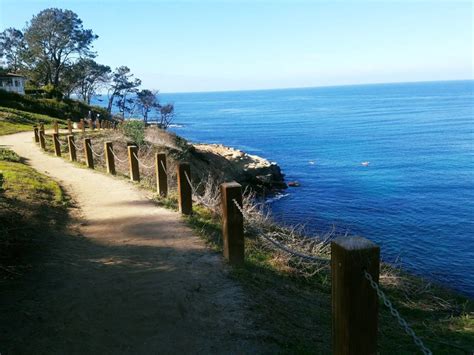 6 Things You Didn't Know About La Jolla's Coast Walk Trail | La Jolla ...