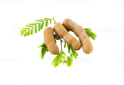 Tamarind png transparent background 29711536 PNG