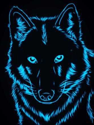 Neon wolf - Wölfe Fan Art (40219217) - Fanpop