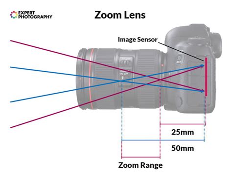 Camera Lens Guide Parts Functions And Types Explained | expertphotography