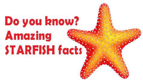 Starfish facts for kids - facts about sea star for children - Simply E-learn Kids - YouTube